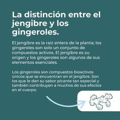 Suplemento de jengibre orgánico