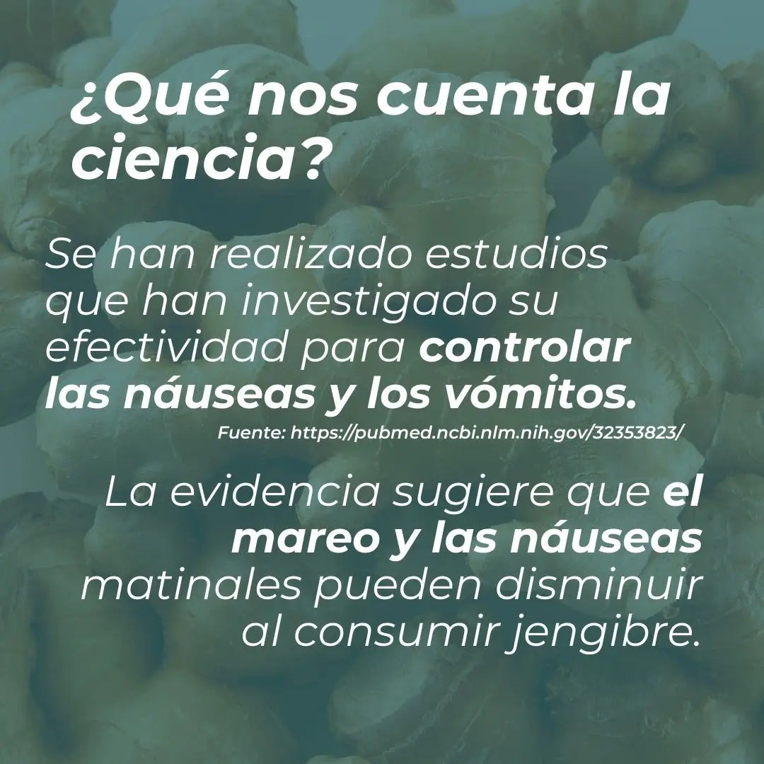 Suplemento de jengibre orgánico