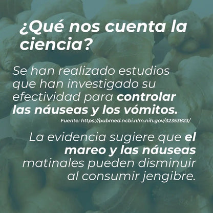 Suplemento de jengibre orgánico