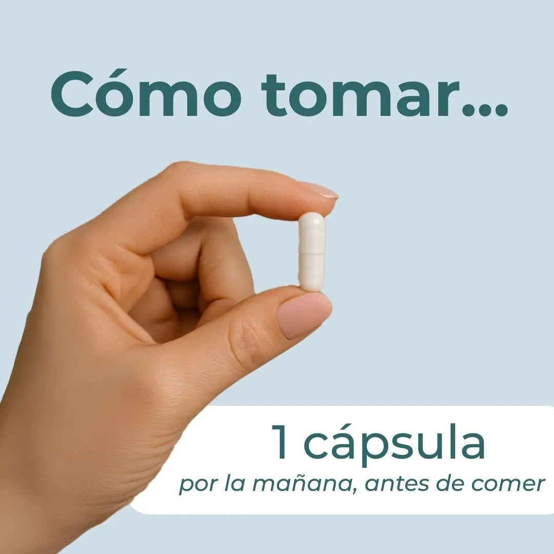 Suplemento de jengibre orgánico